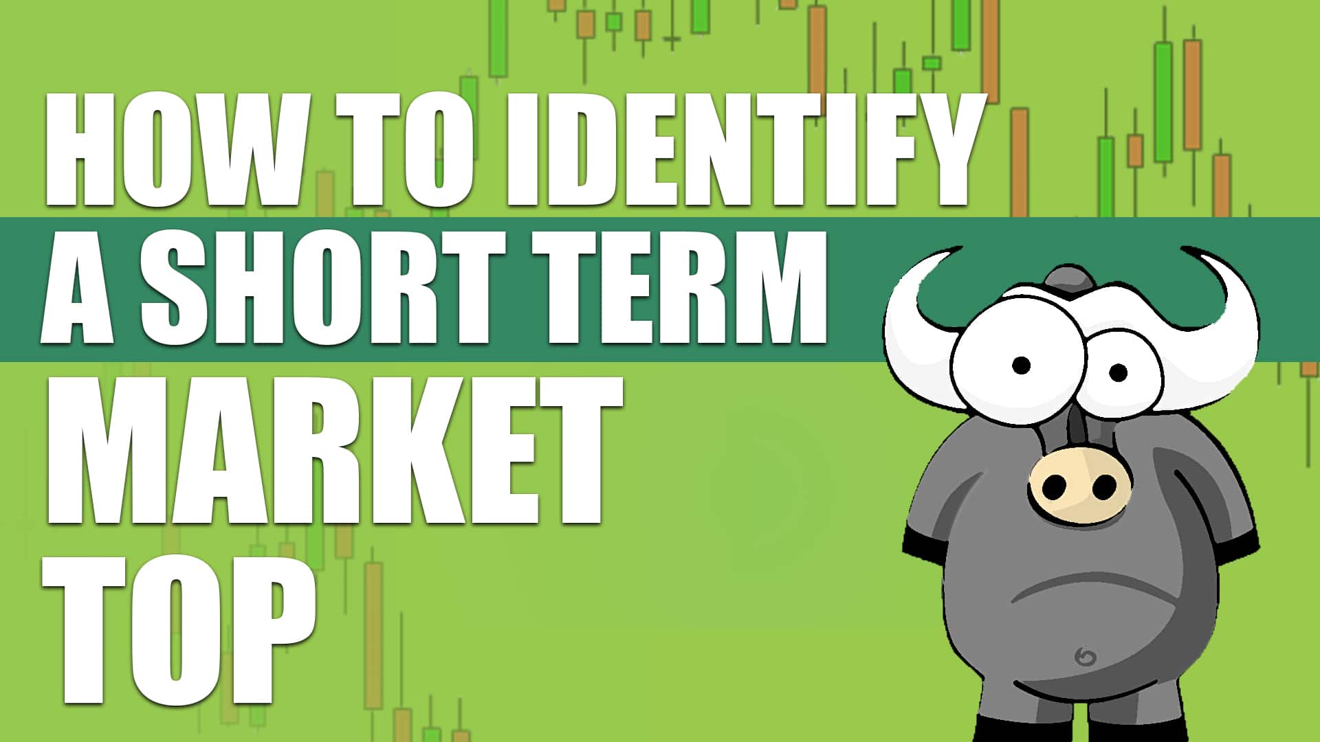 Term market